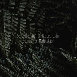 50 Collection of Guided Calm Sounds for Meditation - Schlaflieder Für Kinder