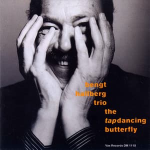 The Tap Dancing Butterfly - Bengt Hallberg