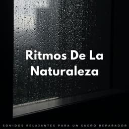 Ritmos De La Naturaleza: Sonidos Relajantes Para Un Sueño Reparador - Naturaleza suena colaboración