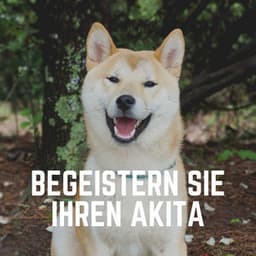 Begeistern Sie Ihren Akita - Hundemusik