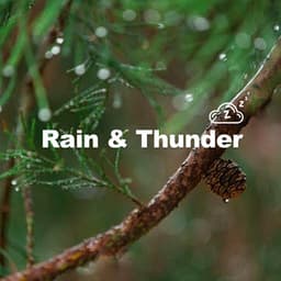 Sounds Of Thunder - Rain & Thunder