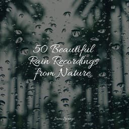 50 Beautiful Rain Recordings from Nature - Naturaleza Sonidos