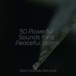 50 Powerful Sounds for a Peaceful Storm - Sleep Sound Library