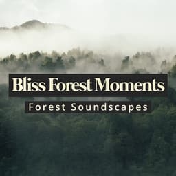 Bliss Forest Moments - Forest Soundscapes