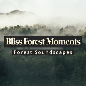 Bliss Forest Moments - Forest Soundscapes
