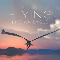 Flying Like An Eagle - Elevation Of The Spirit