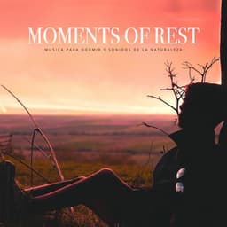 Moments of Rest - Musica Para Dormir y Sonidos de la Naturaleza