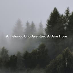 Anhelando Una Aventura Al Aire Libre - La biblioteca al aire libre