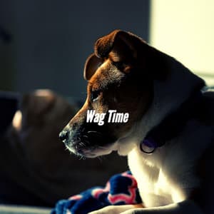 Wag Time - Music For Your Dog