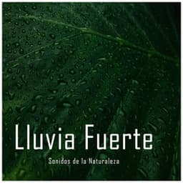 Sonidos de la Naturaleza: Lluvia Fuerte - Rain Recordings