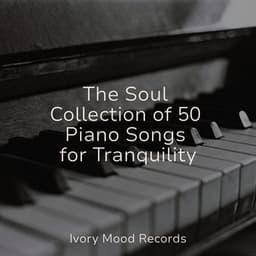 The Soul Collection of 50 Piano Songs for Tranquility - Ivory Mood