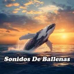 Sonidos de Ballenas - Sonidos De Ballenas