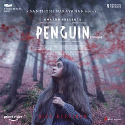 Penguin - Santhosh Narayanan
