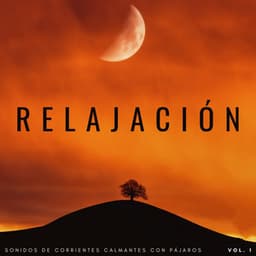 Relajación: Sonidos De Corrientes Calmantes Con Pájaros Vol. 1 - Siente la naturaleza