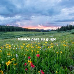 Música para su gusto - Cool Jazz Relaxation