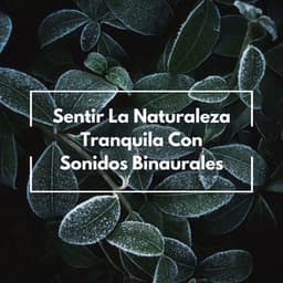 Sentir La Naturaleza Tranquila Con Sonidos Binaurales - Bob binaural