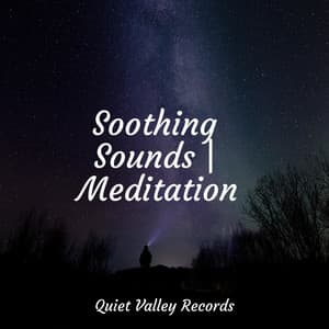 Soothing Sounds | Meditation - The Relaxing Sounds of Water