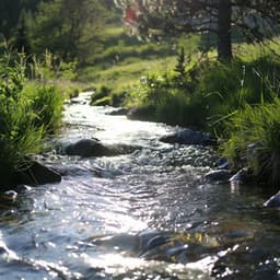 Mejorando El Descanso Nocturno Con Latidos Binaurales - Duérmete Niño
