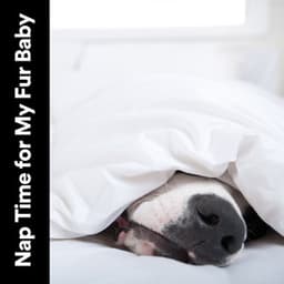 Nap Time for My Fur Baby - Music for Calming Dogs