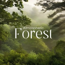 Atmospheric Forest: Music for Contemplation and Tranquility - Zen Forest Collection