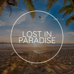 Lost in Paradise - Concentration Help