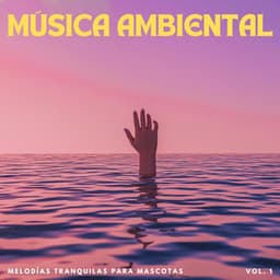 Música Ambiental: Melodías Tranquilas Para Mascotas Vol. 1 - PAZ