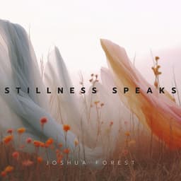 Stillness Speaks: The Weight of Wind - Joshua Forest
