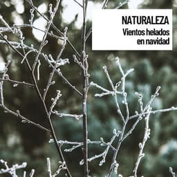 Sonidos de Naturaleza: Vientos helados en navidad - Música Relajante
