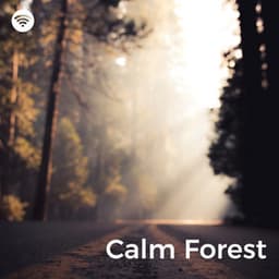 Calm Forest: Songs of the Wildwood - Nature Sound Collection