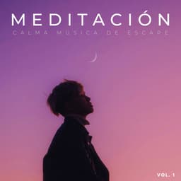 Meditación: Calma Música De Escape Vol. 1 - Meditación Trascendental