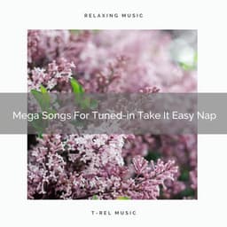 Mega Songs For Tuned-in Take It Easy Nap - Pure Deep Sleep White Noise