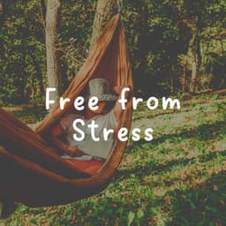 Free from Stress - Background Music Experience