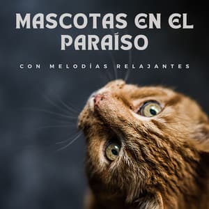 Mascotas en el paraíso con melodías relajantes - Relajarse Melodías