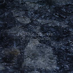 Nature Sounds: Rain Sounds - Relaxing Music