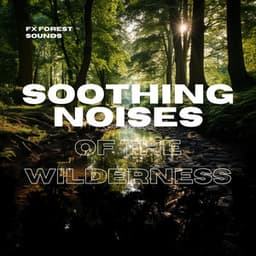 Soothing Noises of the Wilderness - FX Forest Sounds
