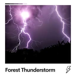 Forest Thunderstorm - Thunderstorm