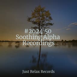 #2024 50 Soothing Alpha Recordings - Chinese Relaxation and Meditation