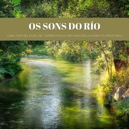 Os Sons Do Río: A Melhor Seleção De Correntes Do Rio Para Relaxamento Profundo - Música de Relaxamento No Spa