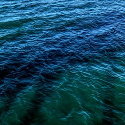 50 Noise Machine Songs: Bedtime Lullabies - White Noise Therapy