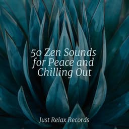 50 Zen Sounds for Peace and Chilling Out - Instrumental