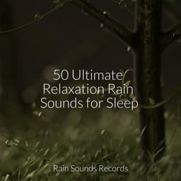 50 Ultimate Relaxation Rain Sounds for Sleep - Relaxing Music