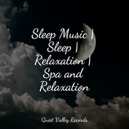 Sleep Music | Sleep | Relaxation | Spa and Relaxation - Sleep Makers Samples