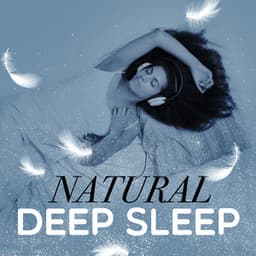 Natural Deep Sleep - Deep Sleep Music Club