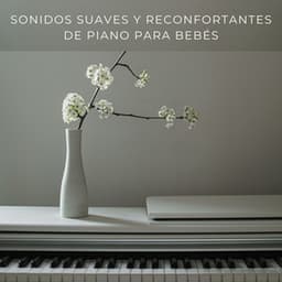 Sonidos Suaves Y Reconfortantes De Piano Para Bebés - Proyecto de piano