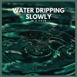 Water Dripping Slowly in a Cave - Background Noise From TraxLab