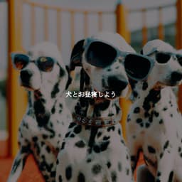 犬とお昼寝しよう - Cafe Music