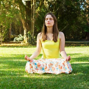 Nature Birds Serenity: Insect Harmony for Meditation - Swedish Forest Birds