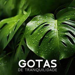 Gotas de Tranquilidade: Mãe Natureza Calma, Pássaros do Bosque, Canções Calmantes da Natureza - Natureza Musica Bem-Estar Academia