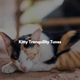 Kitty Tranquility Tunes - Casual Hotel Lobby Music