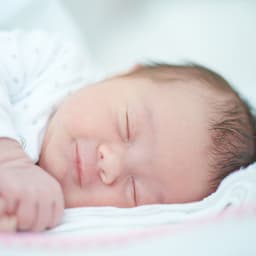 Starry Night Serenades: Baby Lullaby Dreams - Jungle Sleep Sounds